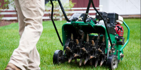 lawn aeration
